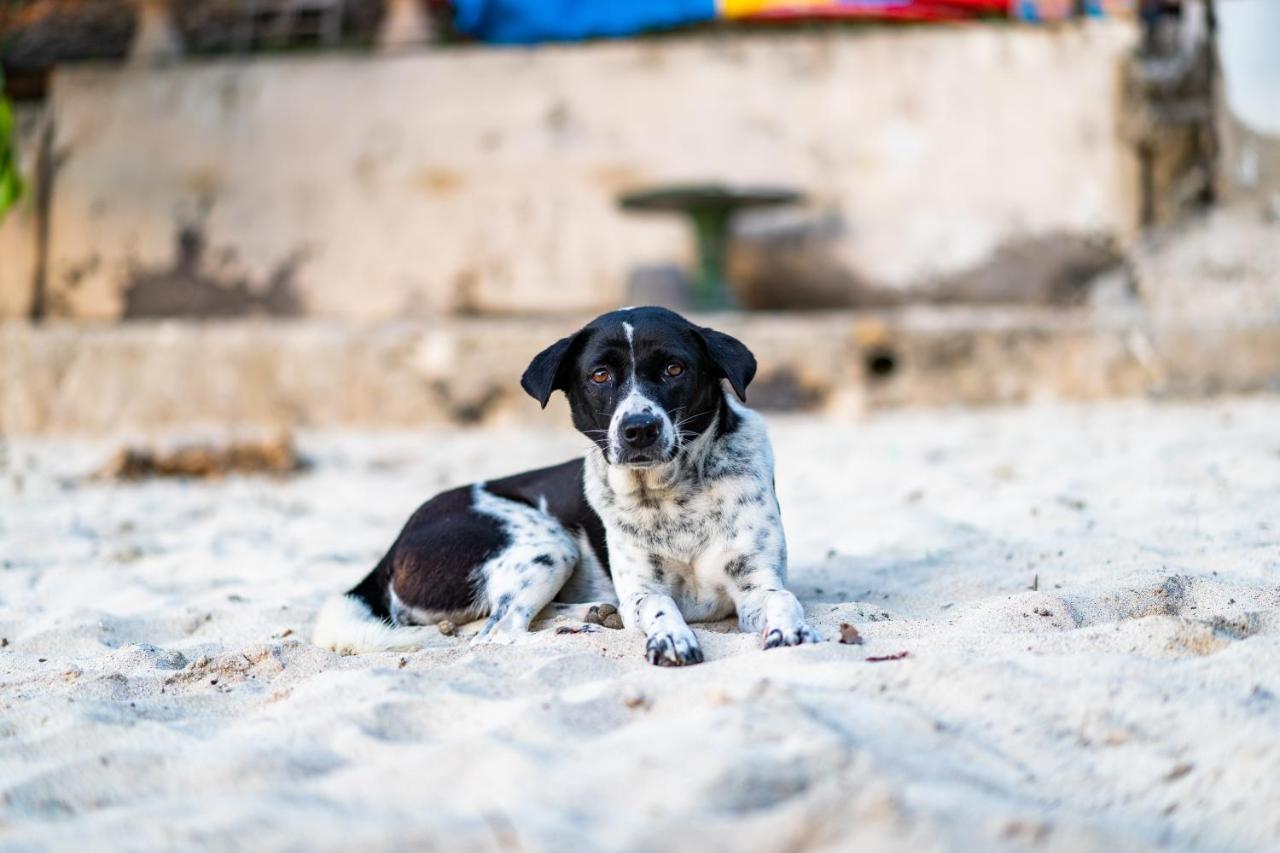 Song Lambung Beach Huts Nusa Lembongan  Luaran gambar